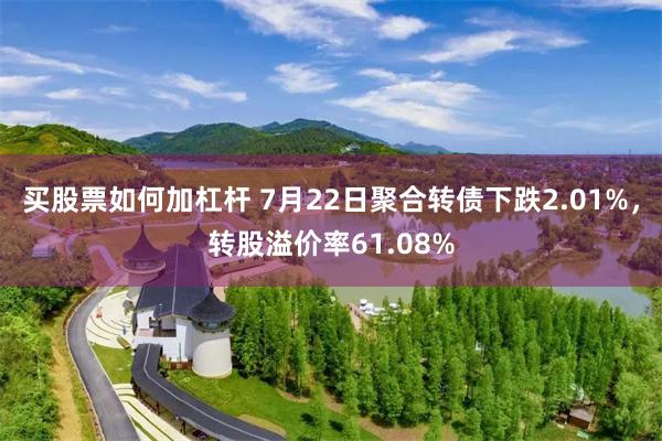 买股票如何加杠杆 7月22日聚合转债下跌2.01%，转股溢价率61.08%