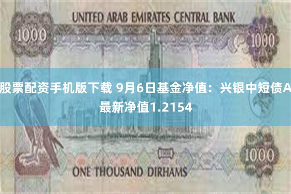 股票配资手机版下载 9月6日基金净值：兴银中短债A最新净值1.2154