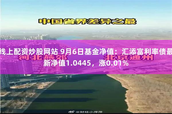 线上配资炒股网站 9月6日基金净值：汇添富利率债最新净值1.0445，涨0.01%