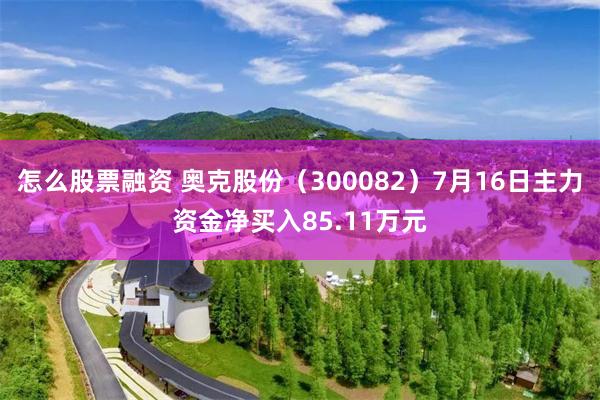 怎么股票融资 奥克股份（300082）7月16日主力资金净买入85.11万元