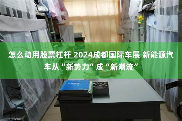 怎么动用股票杠杆 2024成都国际车展 新能源汽车从“新势力”成“新潮流”