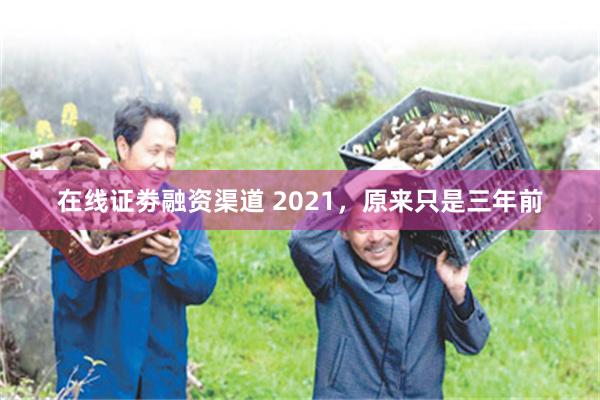 在线证劵融资渠道 2021，原来只是三年前