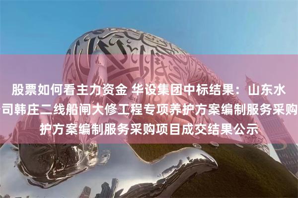 股票如何看主力资金 华设集团中标结果：山东水运发展集团有限公司韩庄二线船闸大修工程专项养护方案编制服务采购项目成交结果公示