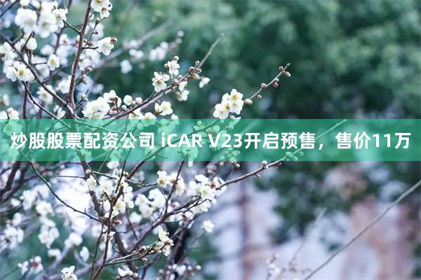 炒股股票配资公司 iCAR V23开启预售，售价11万