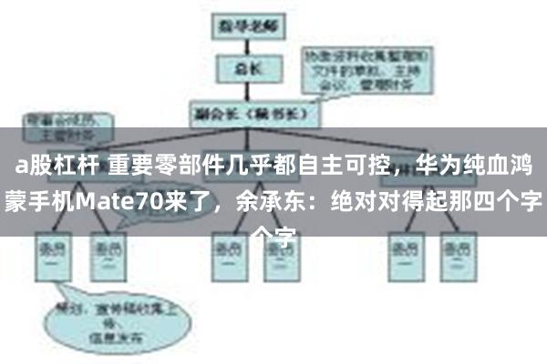 a股杠杆 重要零部件几乎都自主可控，华为纯血鸿蒙手机Mate70来了，余承东：绝对对得起那四个字