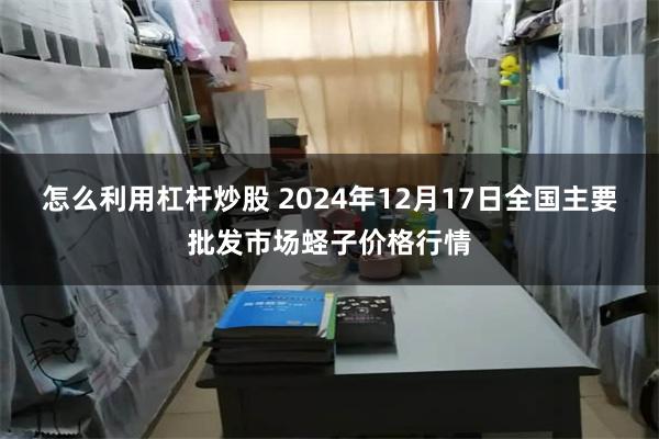 怎么利用杠杆炒股 2024年12月17日全国主要批发市场蛏子价格行情