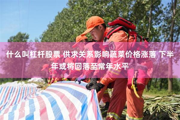 什么叫杠杆股票 供求关系影响蔬菜价格涨落 下半年或将回落至常年水平